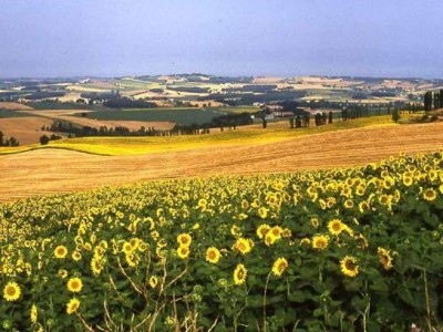 miradoux